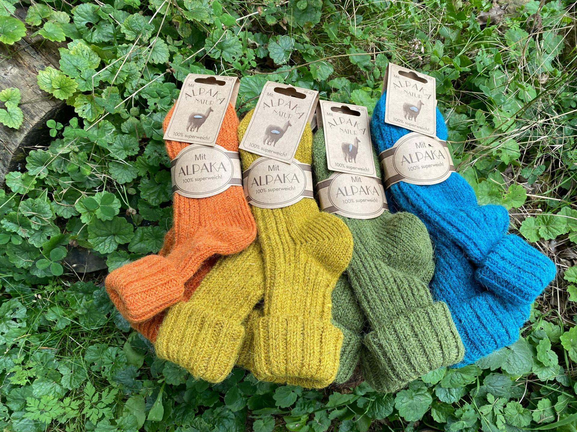 Chaussettes en laine : chaussettes en laine pour femme et homme